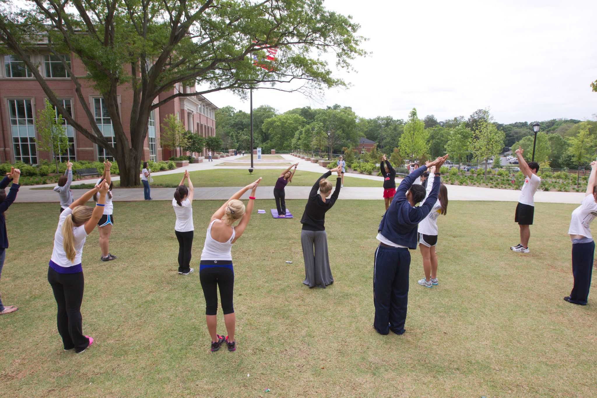 Multiple students doing yoga.